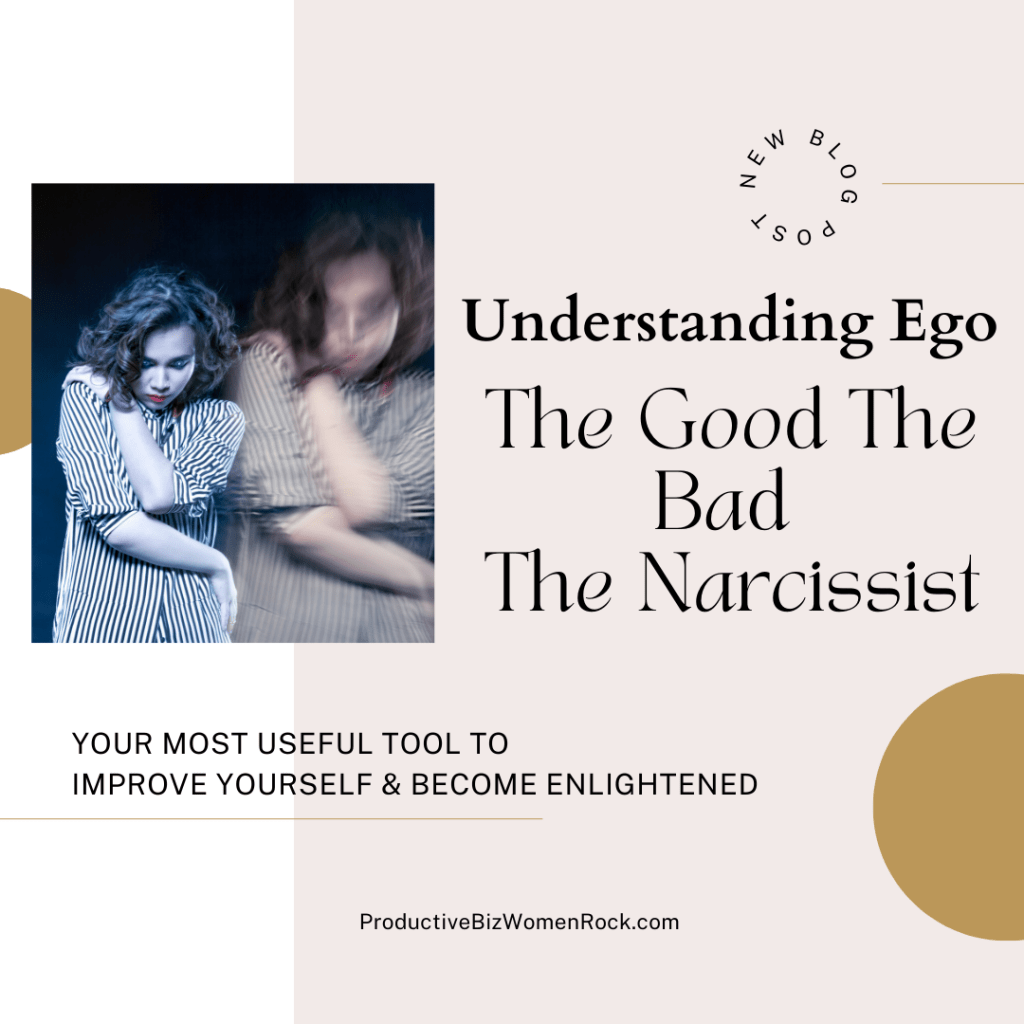 ego vs narcissit